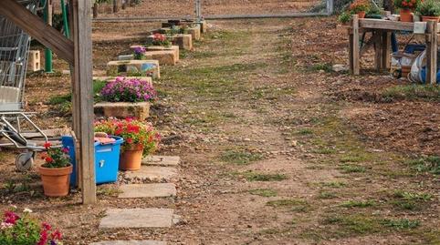 Foto 2 de Casa o xalet en venda a La Pinilla - Las Palas, Fuente Álamo de Murcia