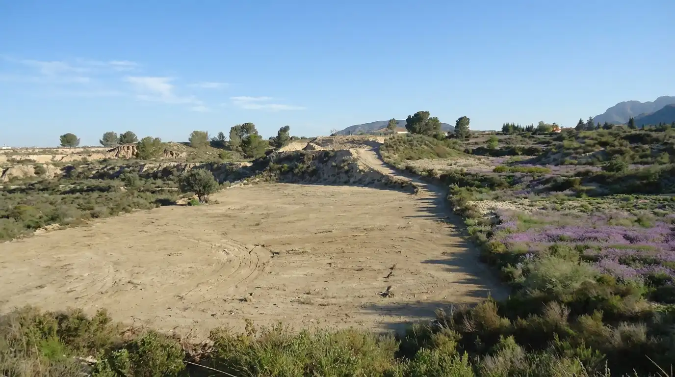 Land for sale in Abanilla