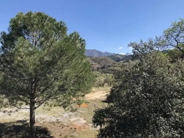 Grundstücke zum Verkauf in La Zubia
