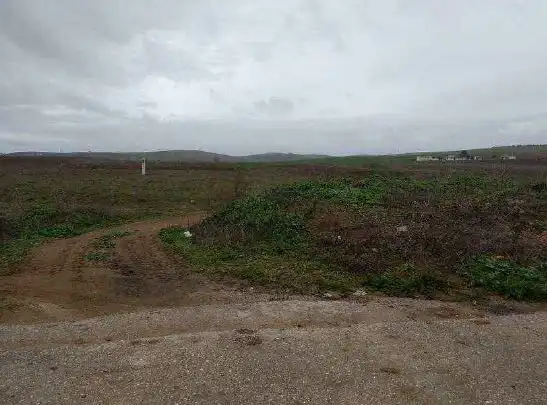 Terreno rustico in vendita a Sector Industrial El Garrotal, imagen 4