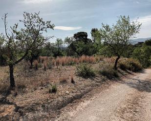 Land for sale in Ontinyent