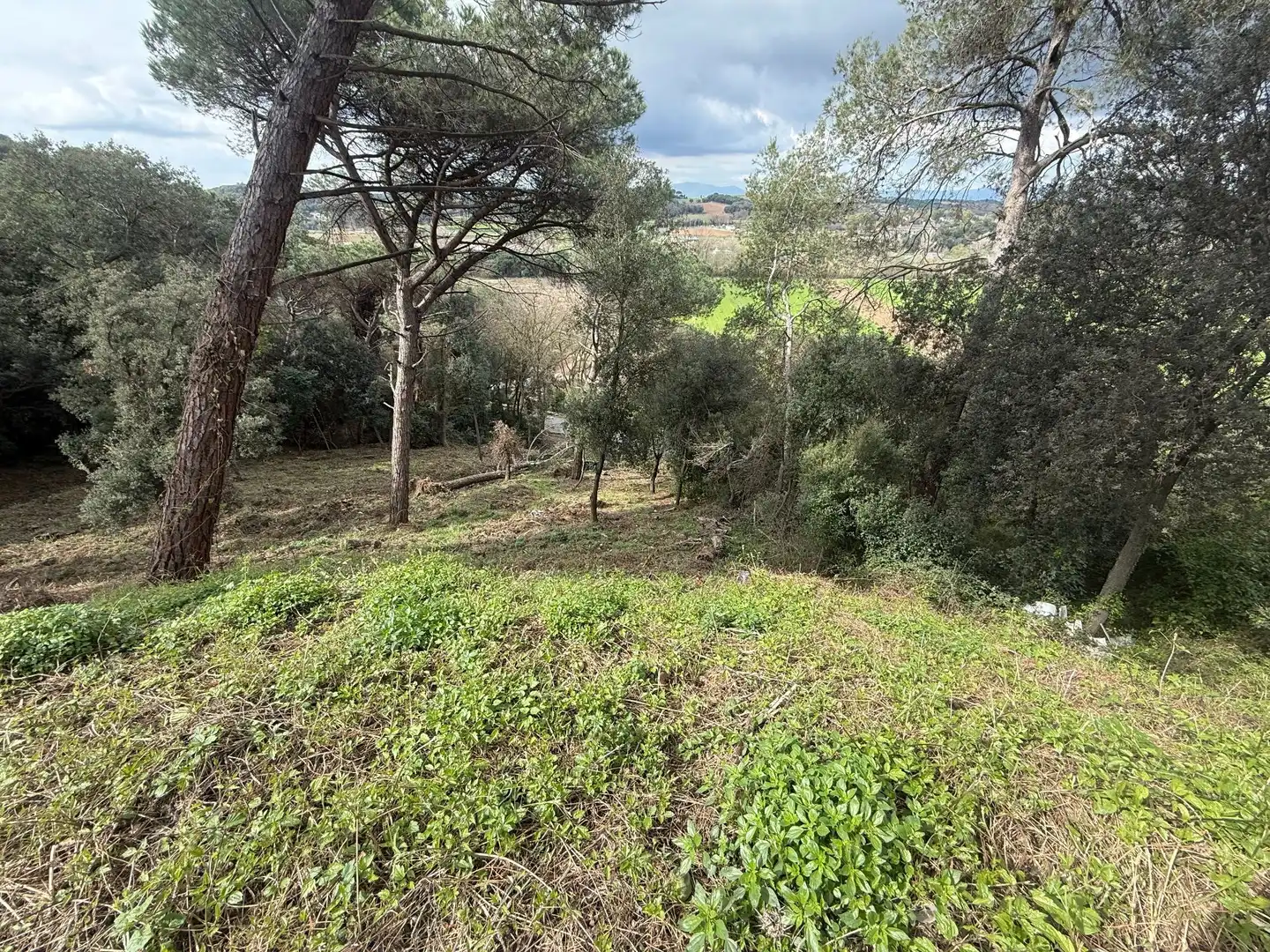 Residential zum Verkauf in La Roca del Vallès