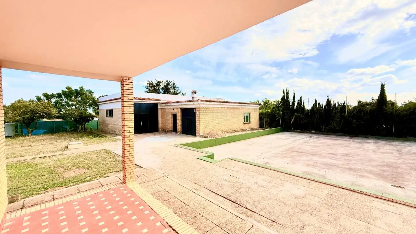 Vista exterior de Casa o chalet en venta en Carmona