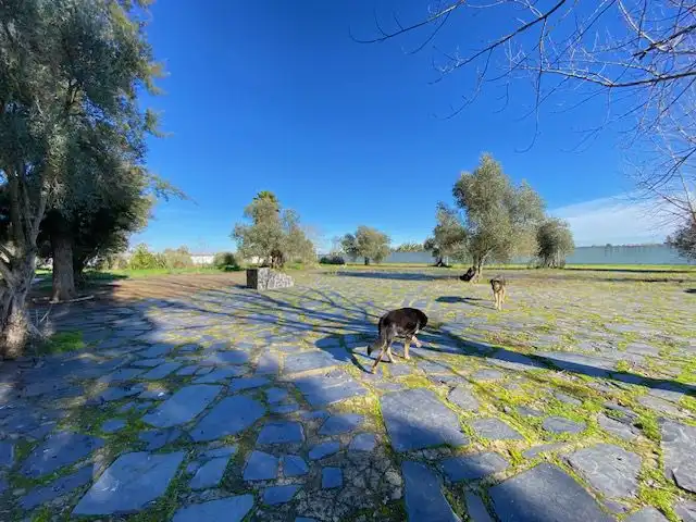 Xalet en venda a cart. de Olivenza km 3, imagen 47