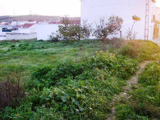 Terreno residencial en Venta en Almenara, 2 en Pedro Abad