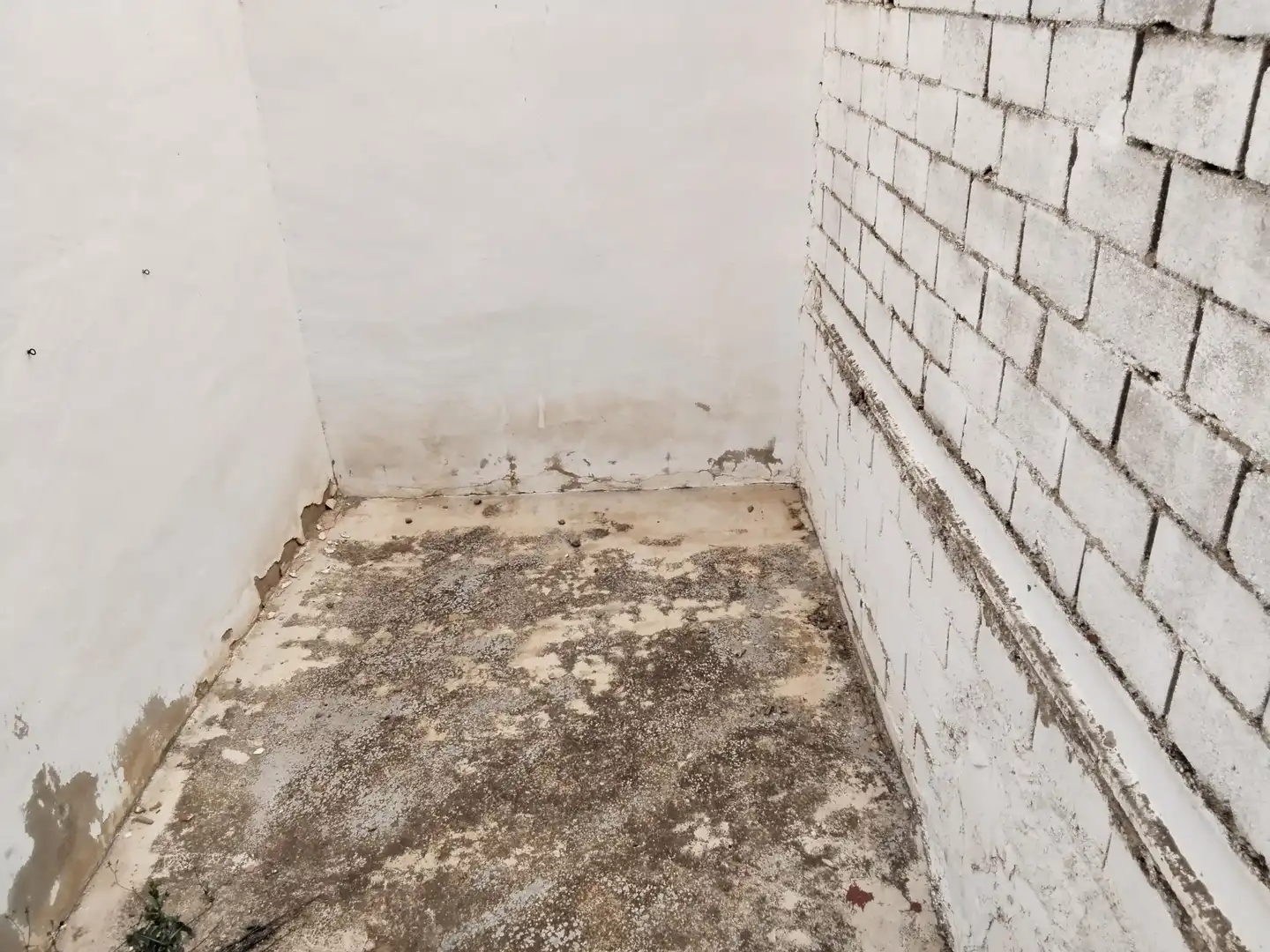 Casa o xalet en venda a Campo de Criptana