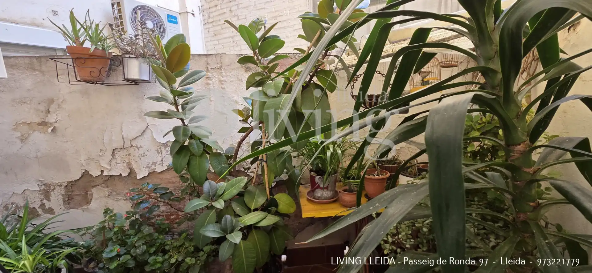 Piso con terraza en venta en Avinguda Alcalde Porqueres, imagen 24
