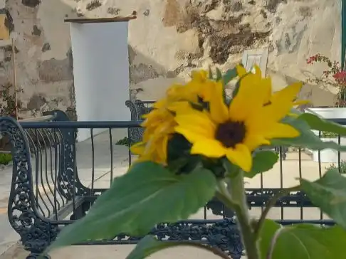 Casa amb jardí en venda a Calle San Juan 2, imagen 19