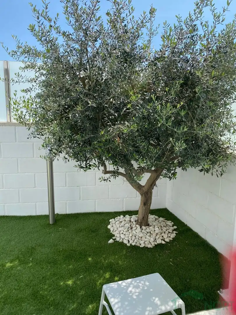 Villa con piscina in vendita a Santa Pola ciudad, imagen 11
