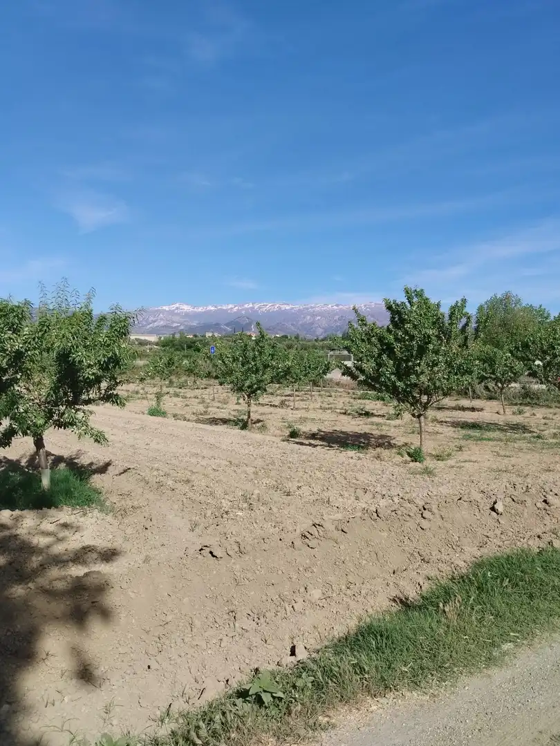 Terreni e lotti in vendita a Carretera Polígono 1 Parcela 83 PAGE BAJO. VILLA DE OTURA (, imagen 11