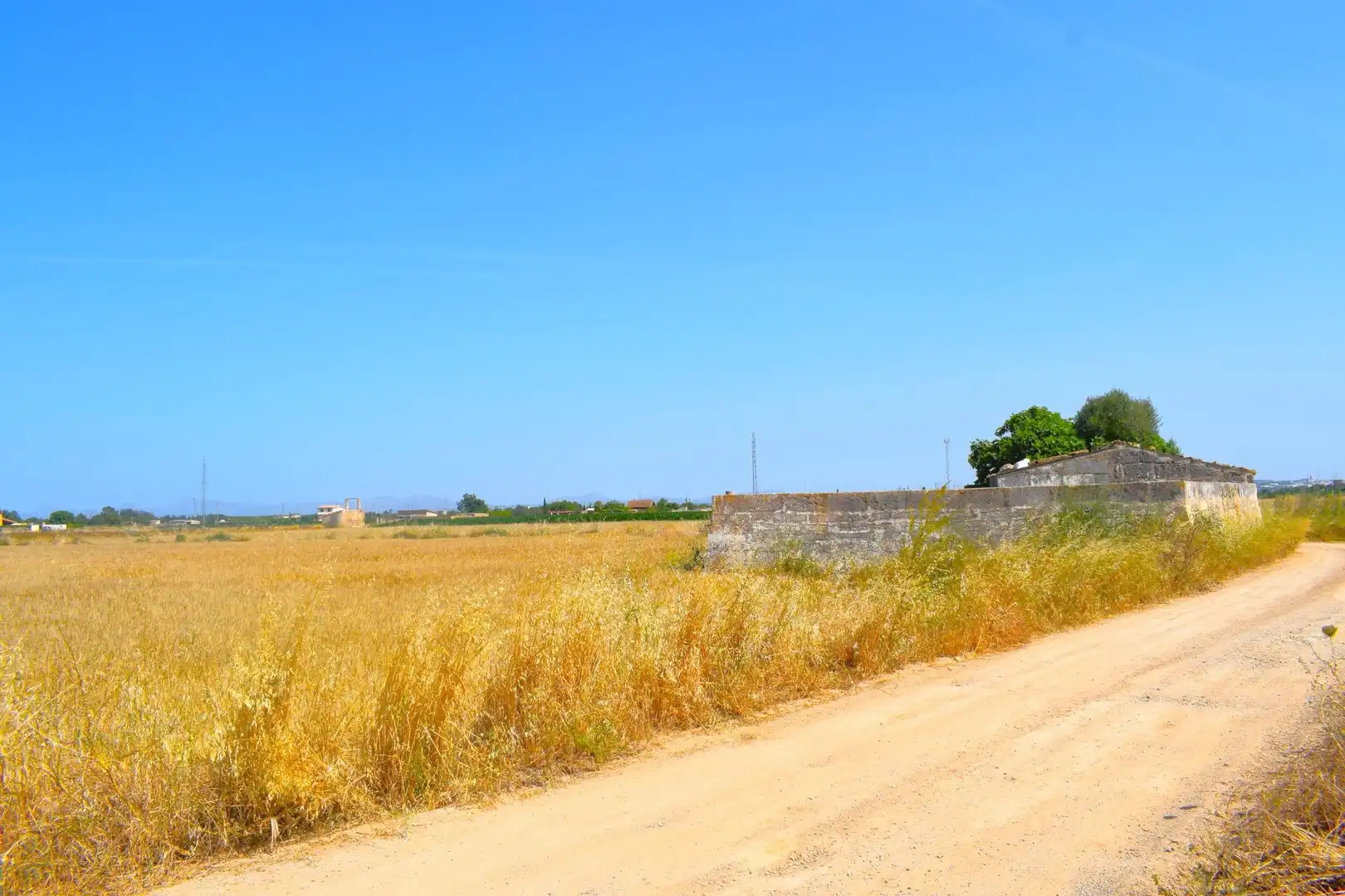 Rural land for sale in Sa Pobla, imagen 14
