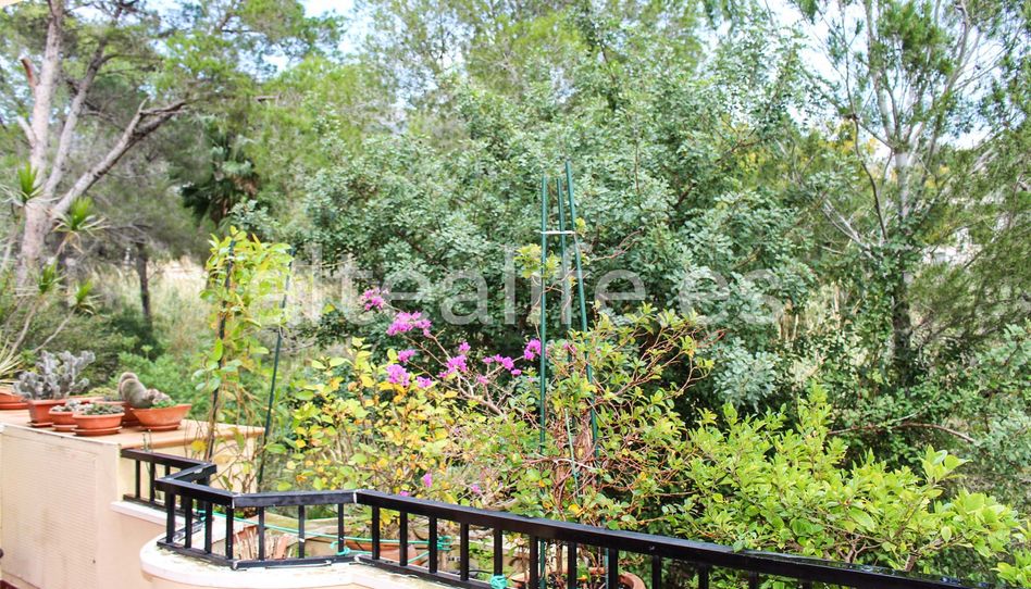 Apartamento en venta en Calle Isla de Altea, 1ec, Mascarat - 5
