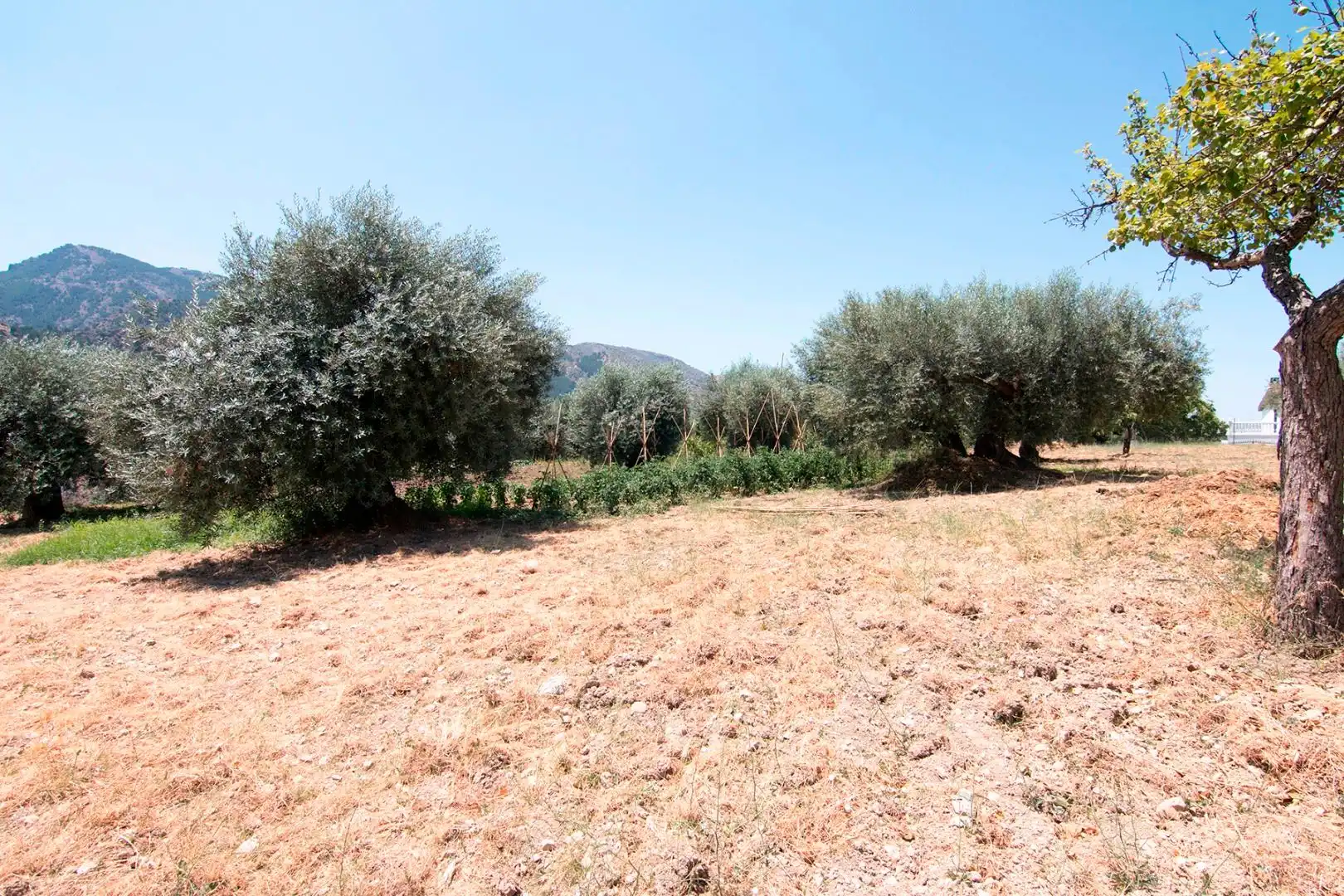 Finca rústica en venta en Güéjar Sierra con Terraza, Piscina y Balcón