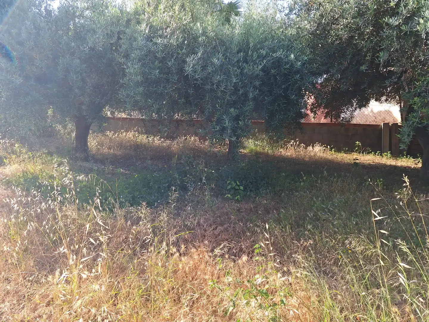 Casa amb jardí en venda a Villamontes - Boqueres, imagen 15
