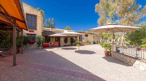 Foto 5 de Finca rústica en venta en Calle Estacion, Olvera, Cádiz