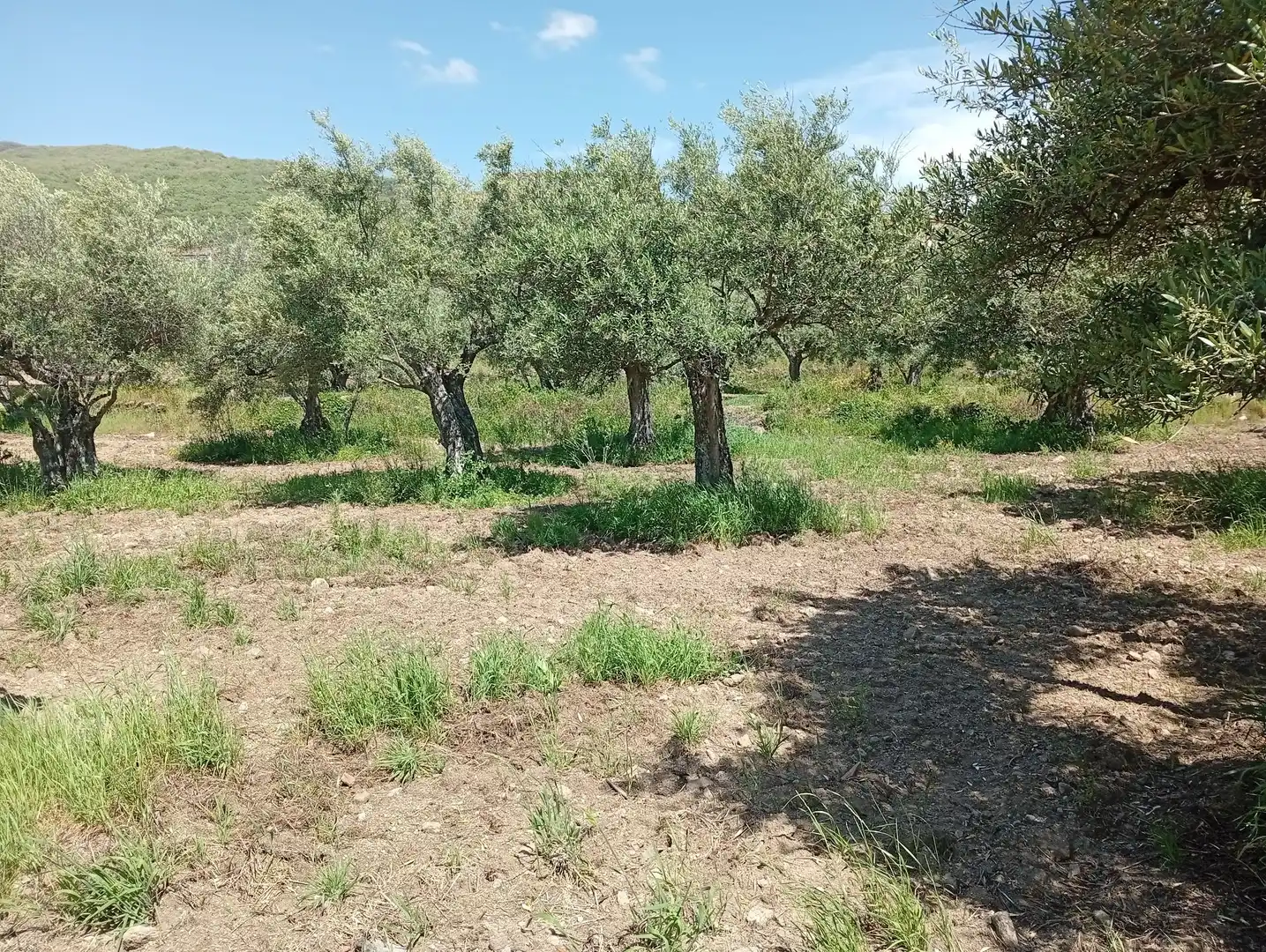 Terreni e lotti in vendita a Villanueva de la Vera, imagen 46