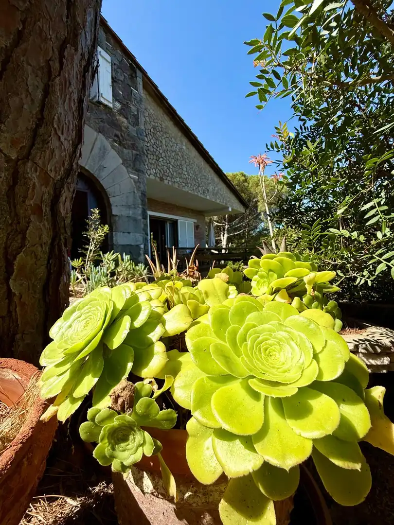 Jardín de Finca rústica en venta en Castell d'Aro, Platja d'Aro i s'Agaró con Aire acondicionado, Calefacción y Jardín privado