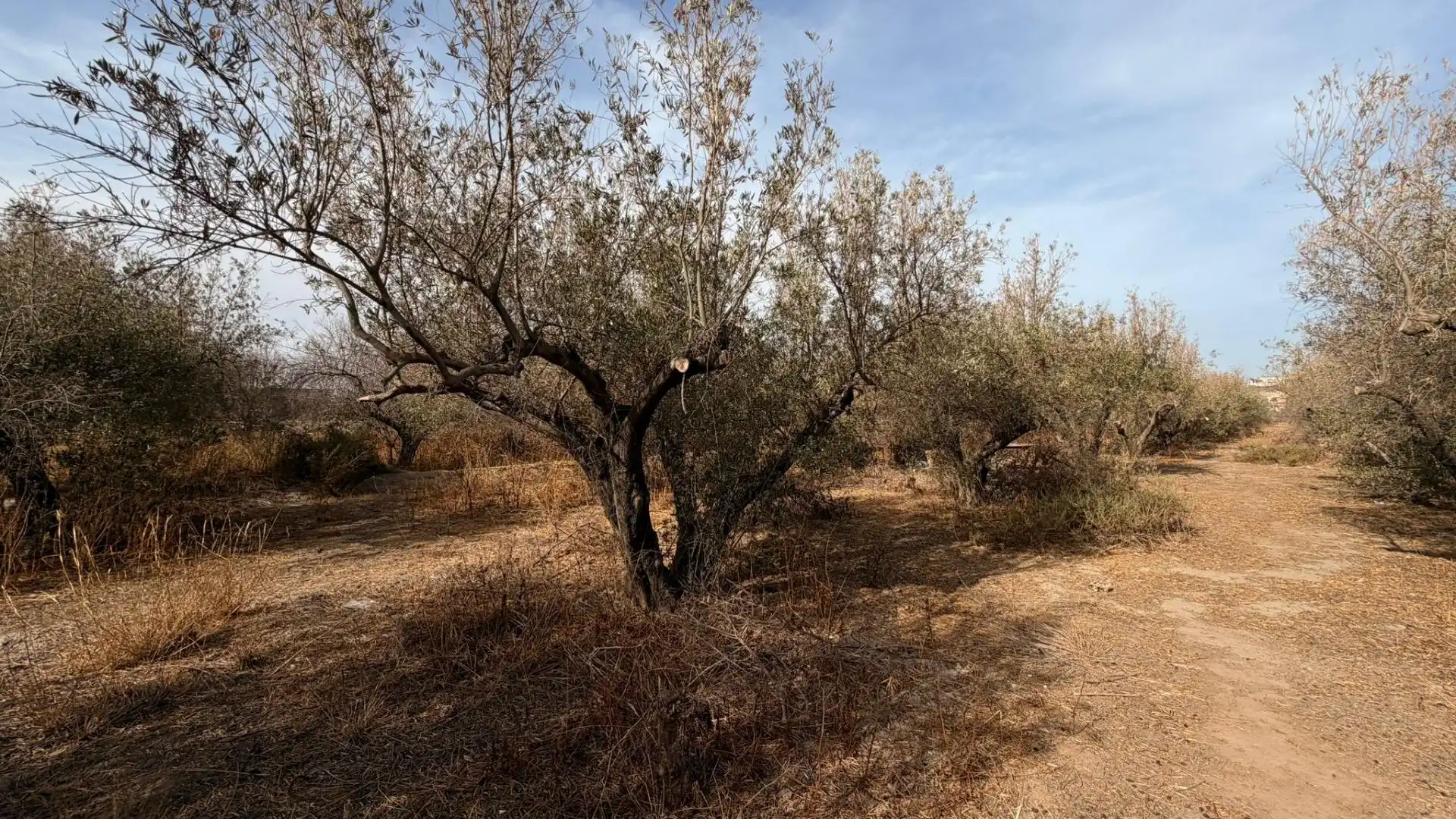 Terreny rústic en venda a Huércal de Almería 5, imagen 6