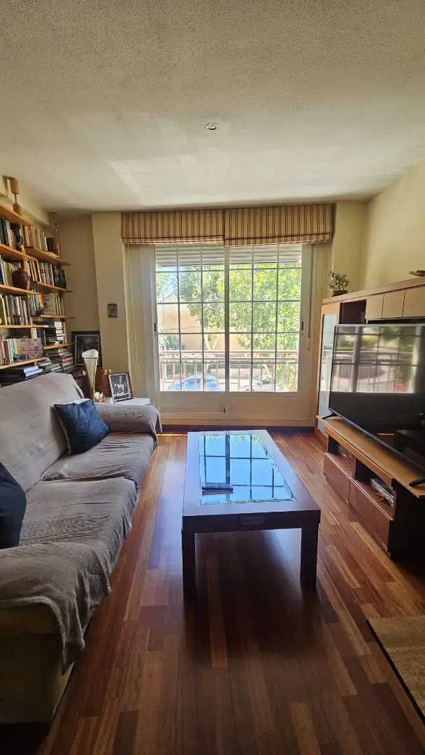 Sala d'estar de Pis de lloguer en Alpedrete amb Calefacció, Parquet i Terrassa