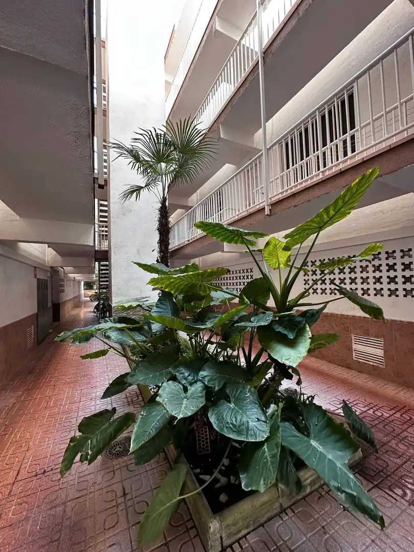Apartamento de alquiler en Regueral - Prat d'en Forés