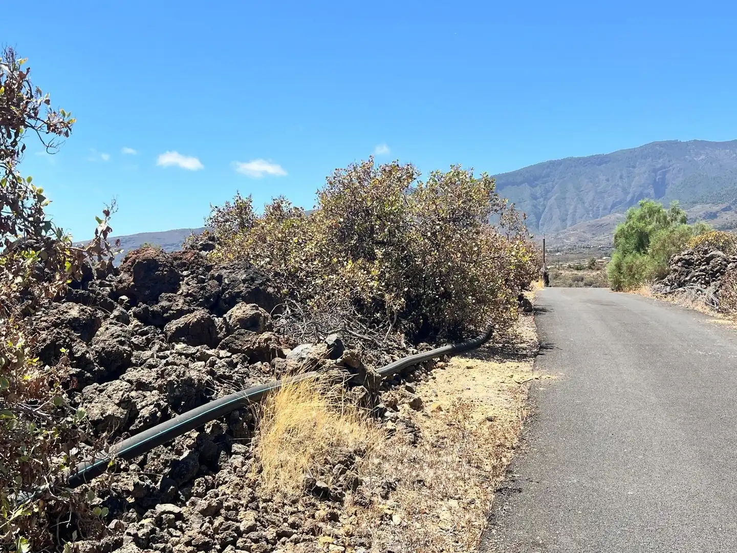 Rural land for sale in Arafo, imagen 11