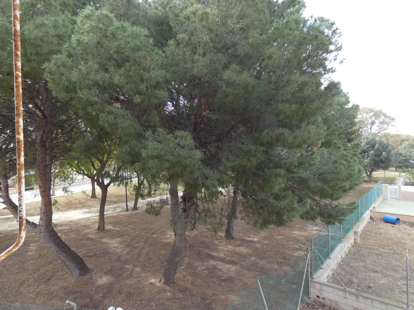 Business premises for sale in Los Narejos - Punta Calera, imagen 22