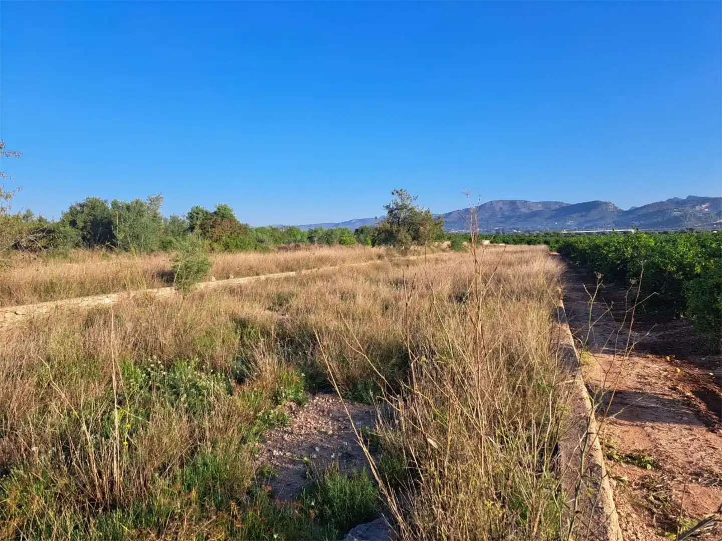 Land for sale in Marines