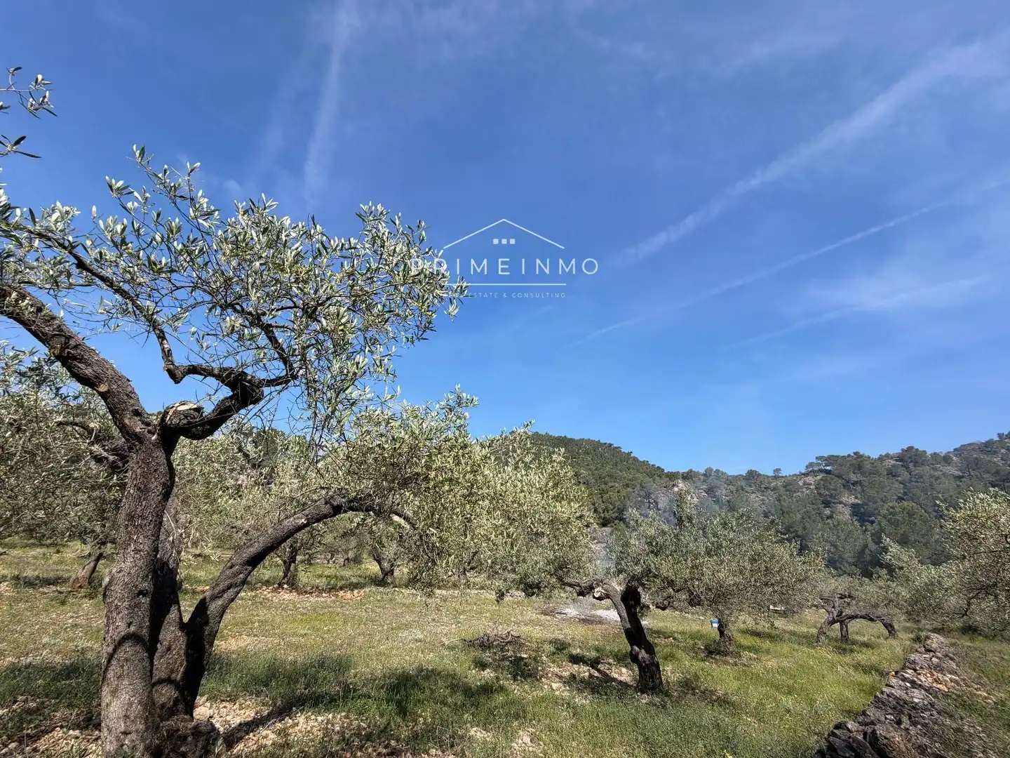 Terreno rústico en venta en L'Ametlla de Mar pueblo, imagen 7