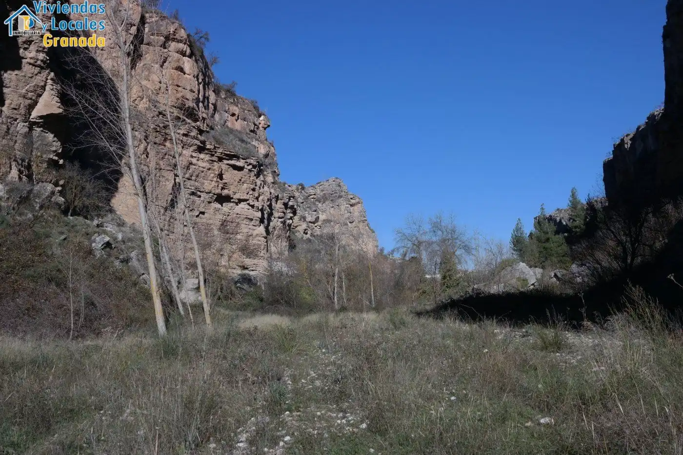 Terreni e lotti in vendita a Alhama de Granada, imagen 19
