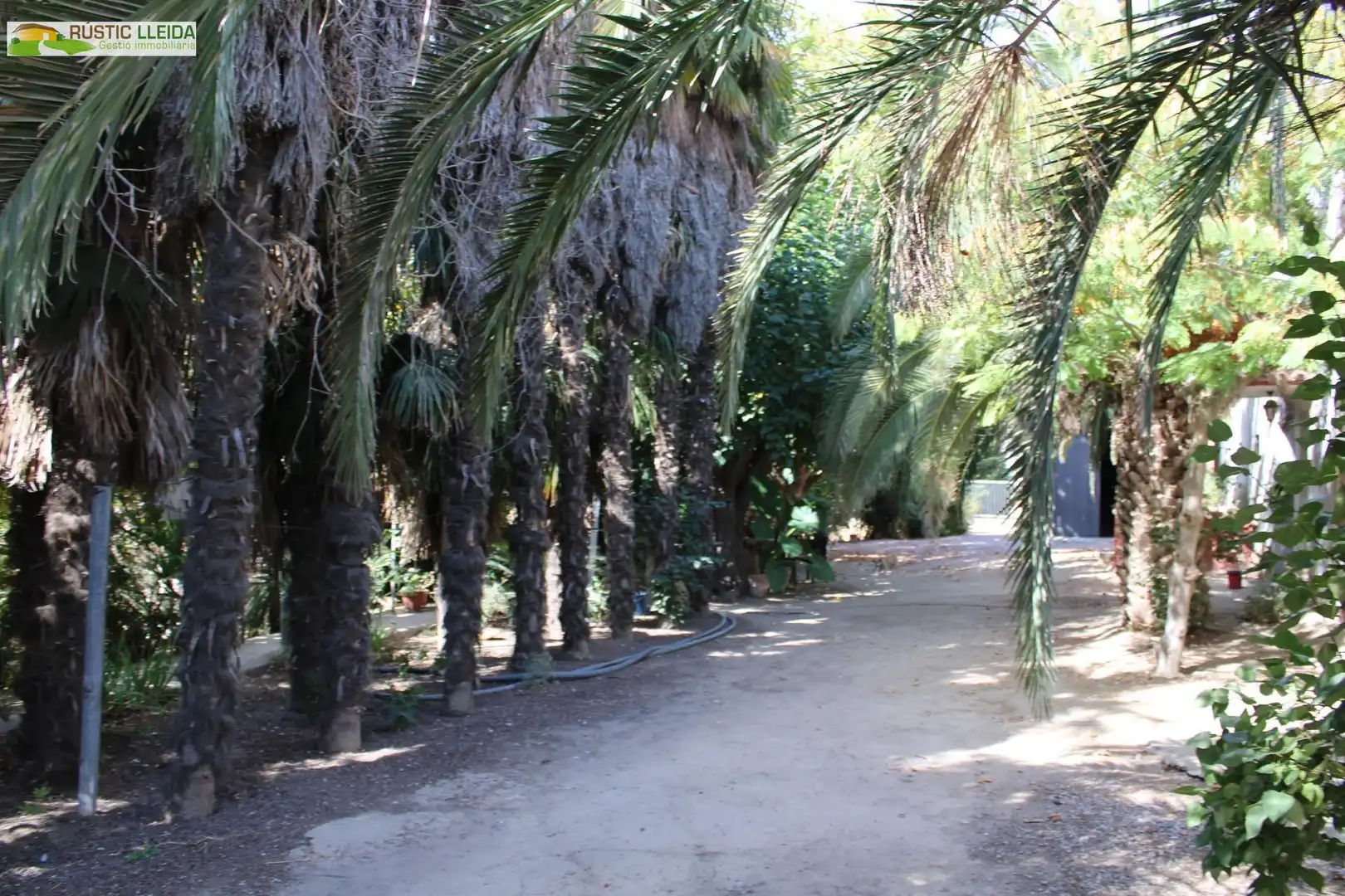 Casa rústica en venda a Linyola, imagen 6