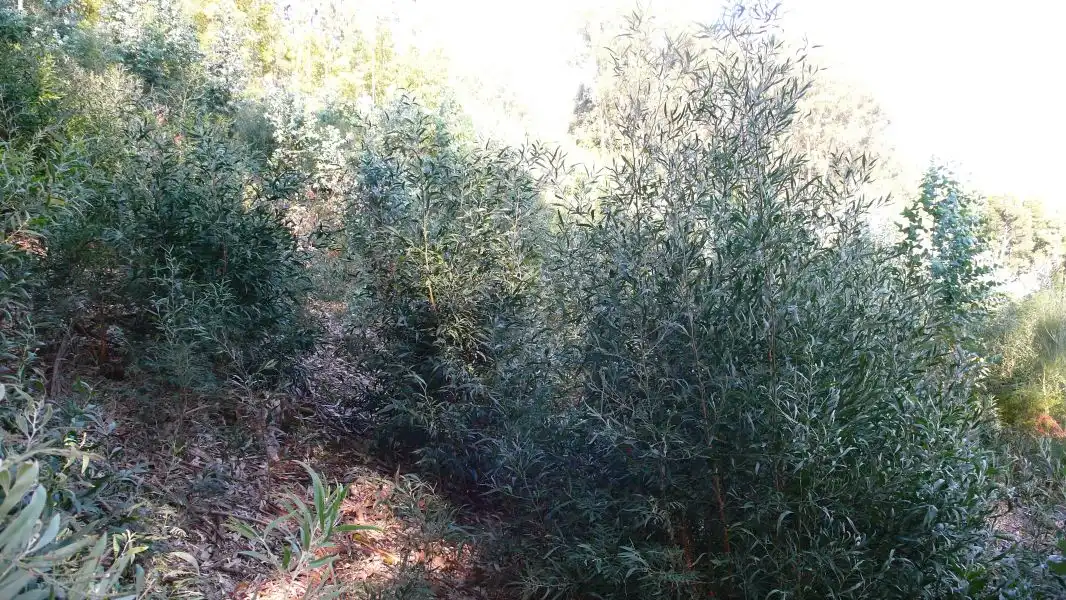 Terreni e lotti in vendita a Ramorta de Arriba, imagen 10