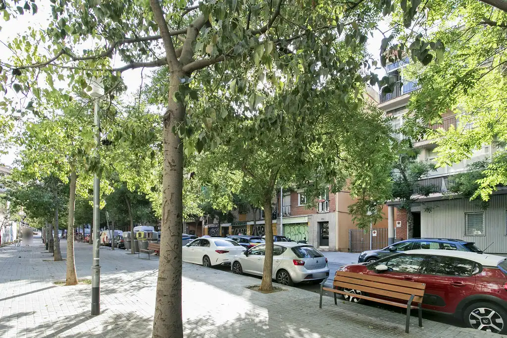 Büro zum Verkauf in C/ Fastenrath, El Carmel