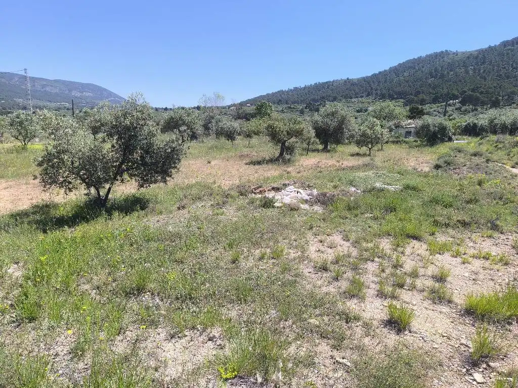 Casa o chalet en venta en Ibi con Piscina