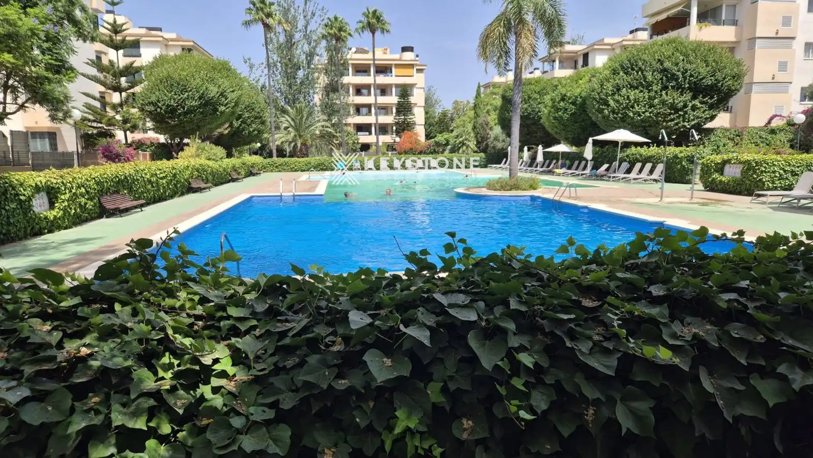 Schwimmbecken von Dachboden zur Miete in  Palma de Mallorca mit Klimaanlage, Terrasse und Schwimmbad