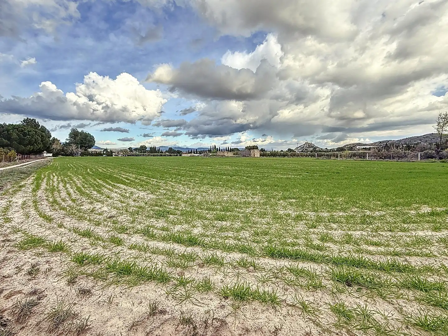 Rural land for sale in Partida Polígono 12 Parcela 103 CAÑARETS. ONIL (ALICANTE, imagen 4