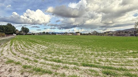 PARCELA DE TERRENO RUSTICO DE 14.885 EN LA MARJAL DE ONIL, immagine 4