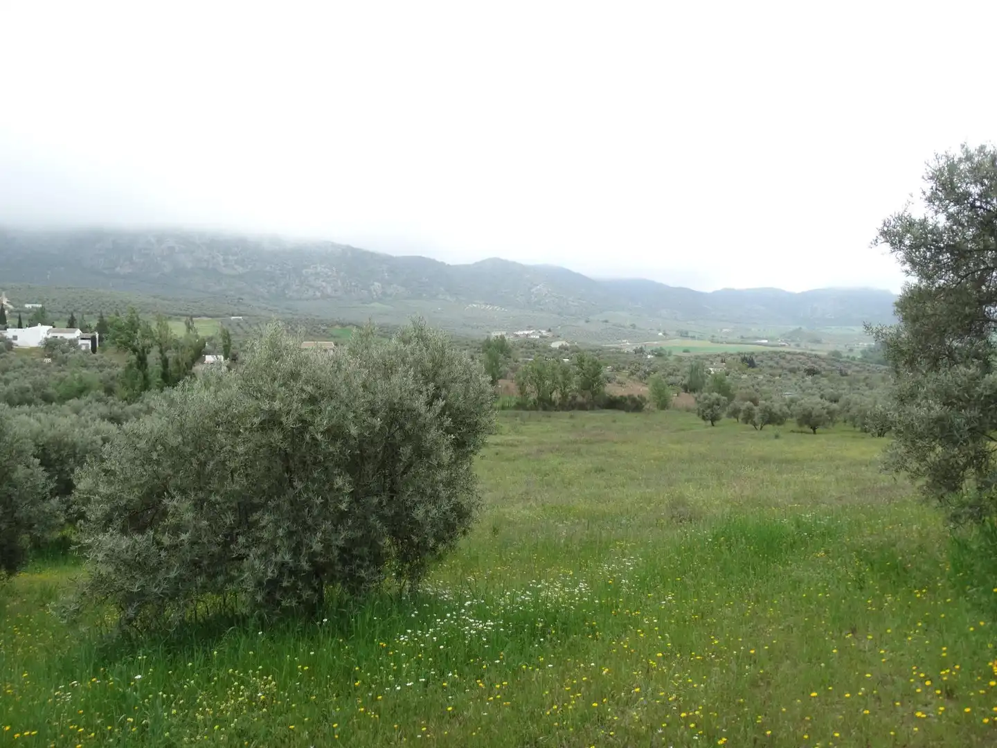 Lands and plots for sale in Calle CERRO LIMON, imagen 3