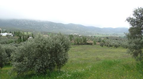 Foto 3 de Terreno en venta en Calle Cerro Limon , Cueva de Menga, Antequera