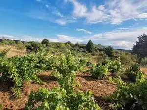Terreni e lotti in vendita a Jarandilla de la Vera, imagen 4