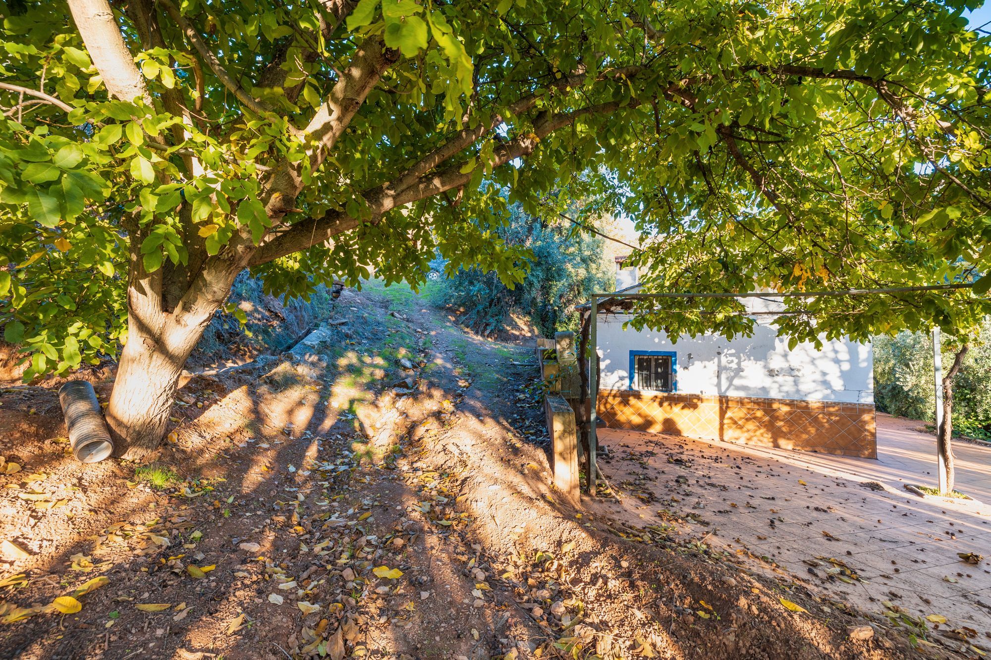 Vista exterior de Casa o xalet en venda en Cogollos de la Vega