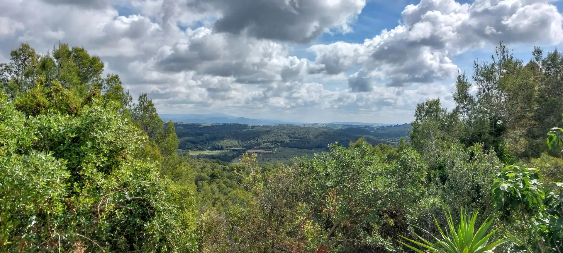 Casa o chalet en venta en Cabrera d'Anoia con Jardín privado, Terraza y Trastero