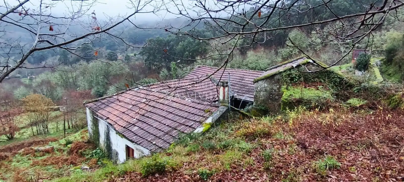 Exterior view of Houses for sale in Fornelos de Montes  with Private garden and Storage room