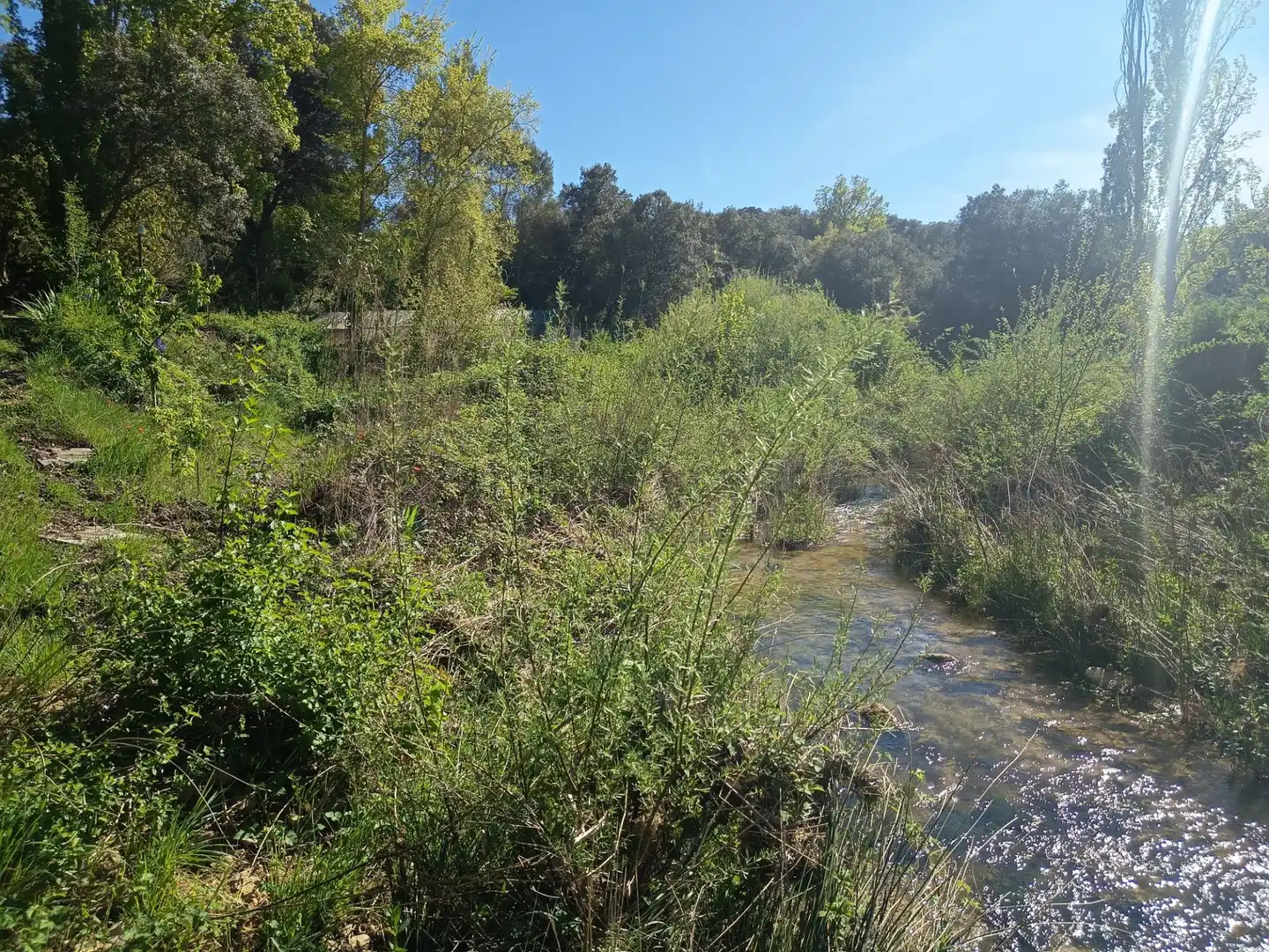 Terreno en venta en Leoz / Leotz