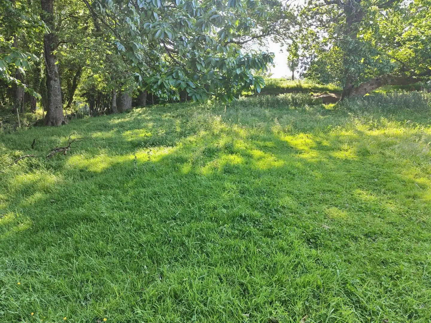 Casa o chalet en venta en Lugo