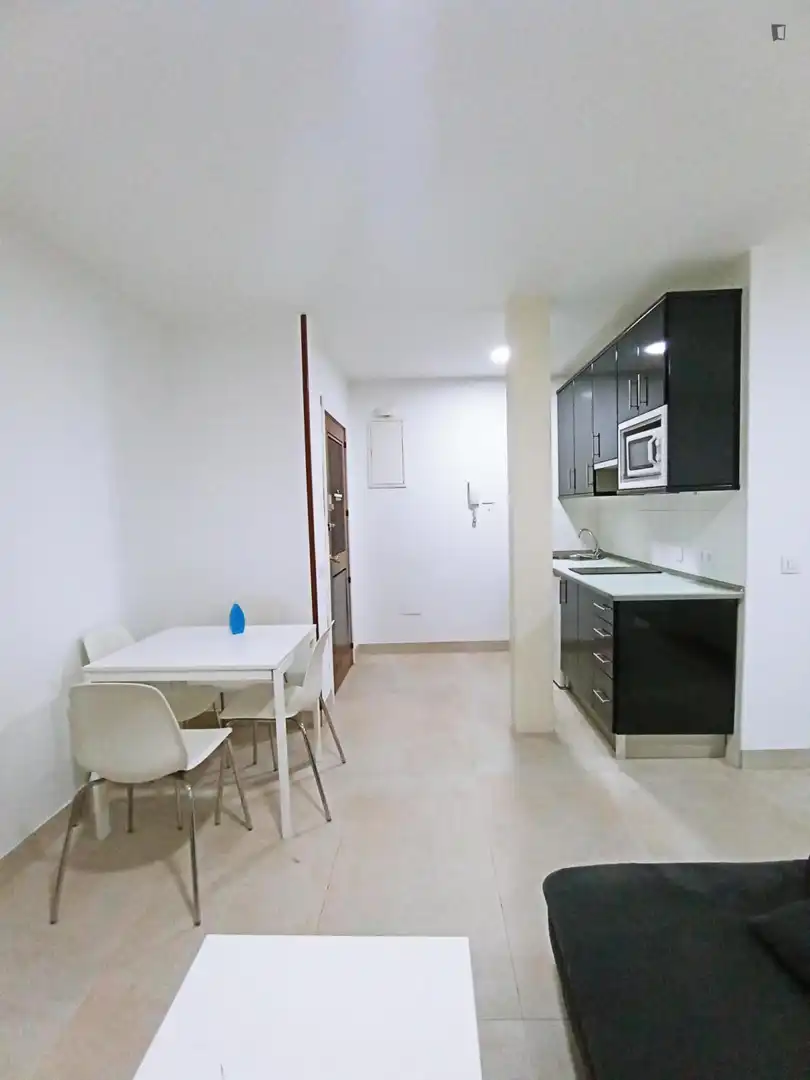 Monolocale in affitto a Centro, imagen 10