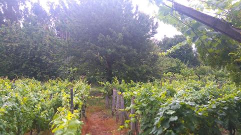 Photo 5 of Residential for sale in O Carballiño  , Ourense