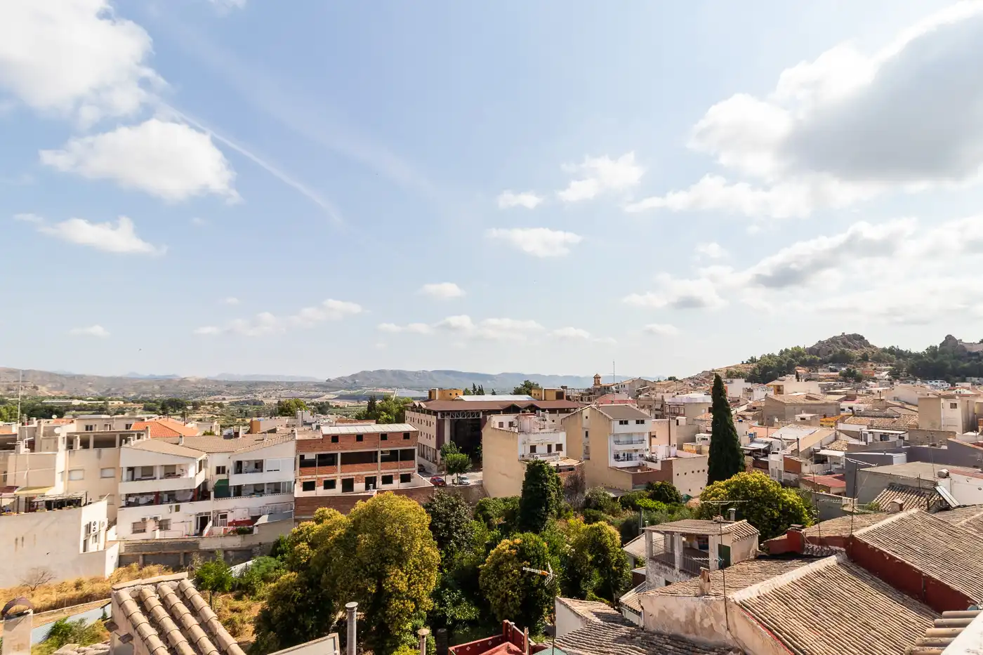 Inmuebles singulares en venta en Calasparra, imagen 8
