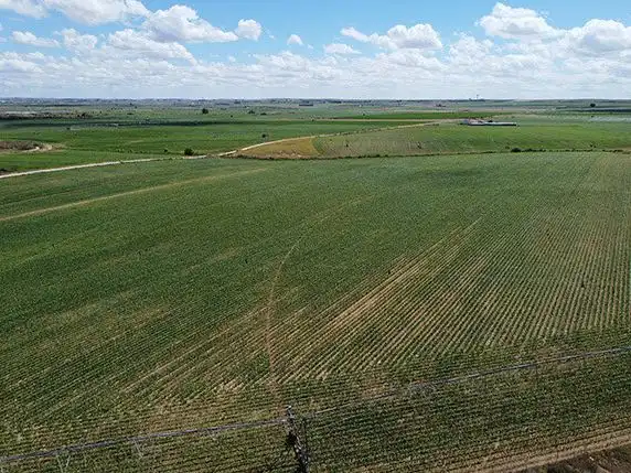 Land for sale in Torrecilla de la Orden
