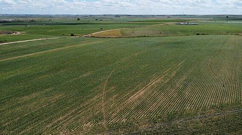 Photo 3 of Land for sale in Calle el Viento, 1, Torrecilla de la Orden, Valladolid