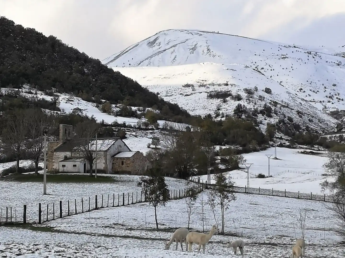 Detached homes for sale in Hermandad de Campoo de Suso